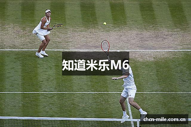 知道米乐M6